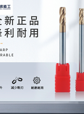 国产圆鼻铣刀4刃钨钢铣刀紫色涂层牛鼻刀钨钢合金铣刀CNC刀具