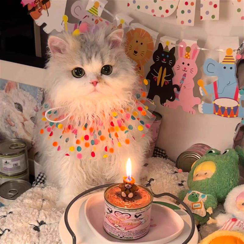 宠物生日装饰围兜帽子猫咪派对狗狗装饰品围嘴帽子可爱拍照布置