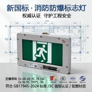 东君防爆安全出口指示灯工程