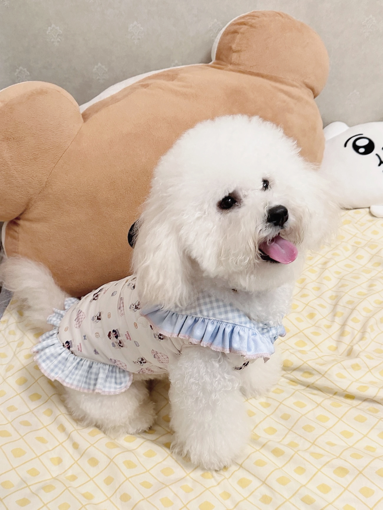 喵呜计划「小熊在逃」韩系新款狗狗小熊印花棉服可爱猫咪棉袄秋冬