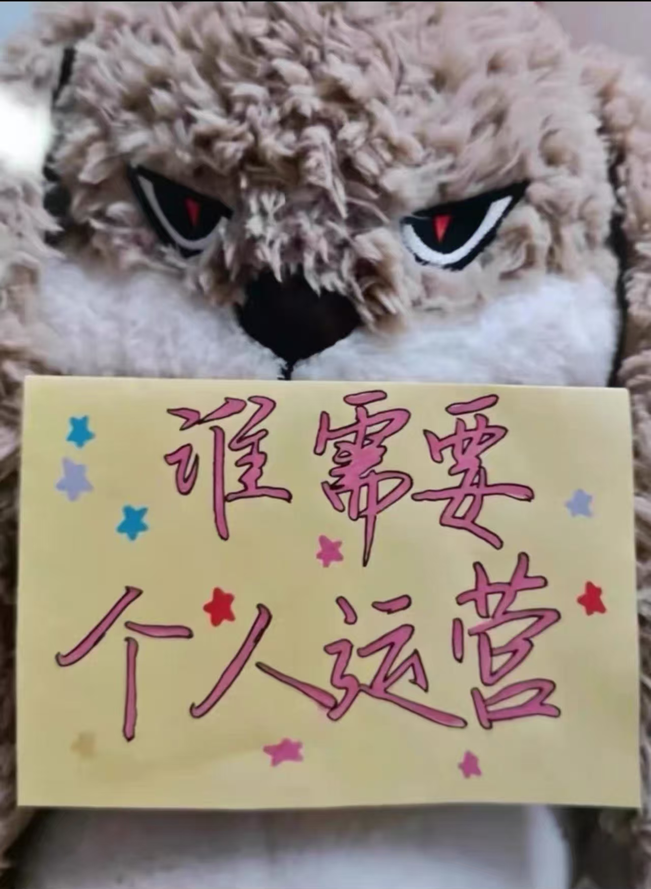 电商运营多多淘宝天猫京东店铺搭建直通车商品标题优化数据分析