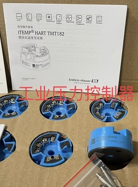 CYK10-J101连接线TMT182-ABAAA议价BBAAA模块温度变送器E+H传感器