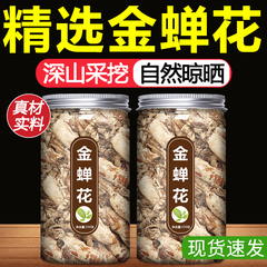 金蝉花野生500g中药材金婵花知了花虫草孢子粉金蚕花的功效与作用