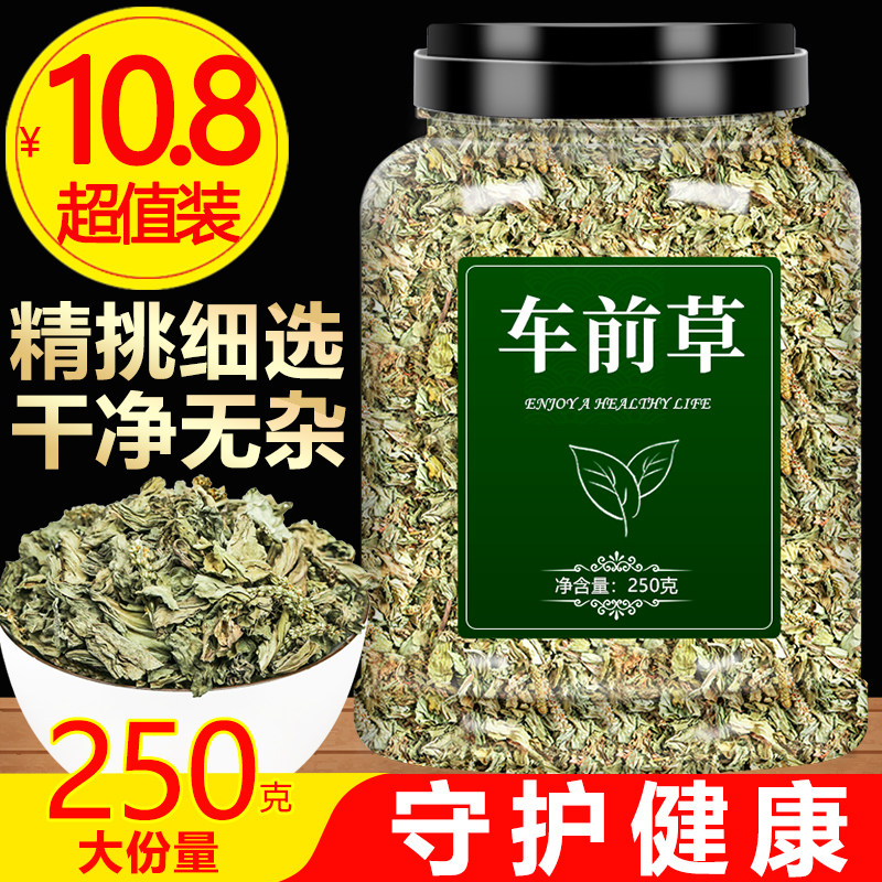 车前草中药材干货车钱草中草药非袋泡茶新鲜搭白茅根车前子金钱草