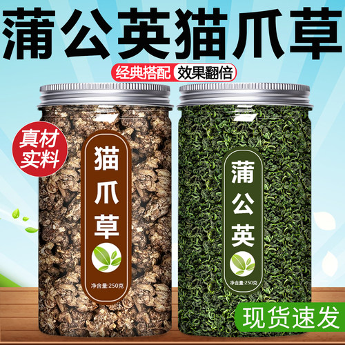 蒲公英猫爪草清润降火温和调理