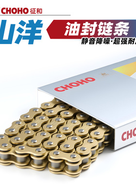 适用于山洋摩影 S450摩托车魔途400原厂征和油封链条