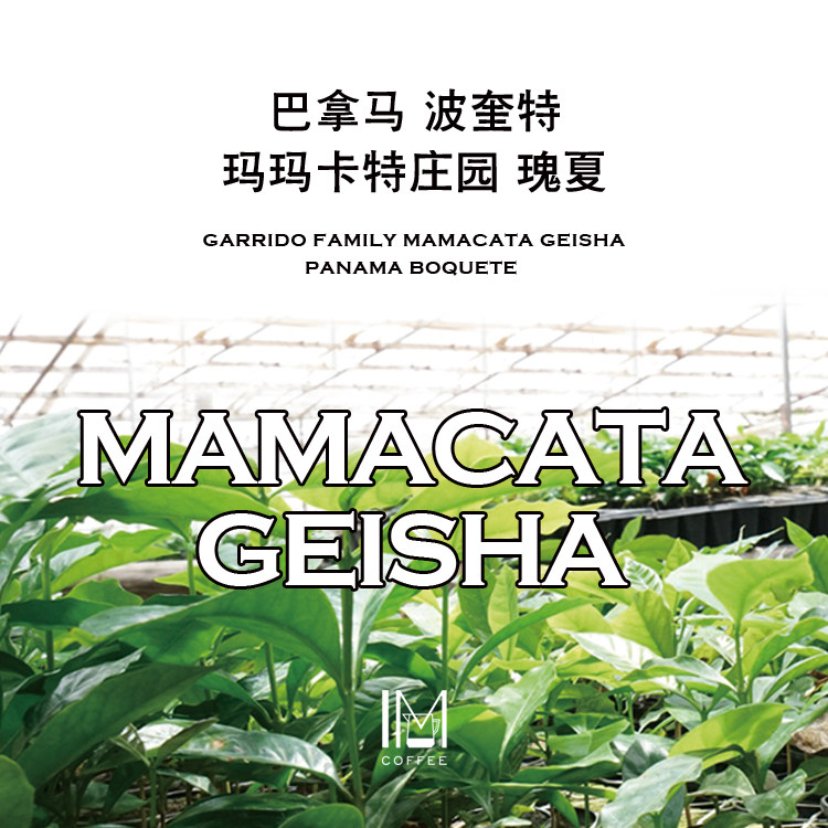 巴拿马波奎特产区玛玛卡特庄园瑰夏日晒咖啡豆049号香甜饱满115g