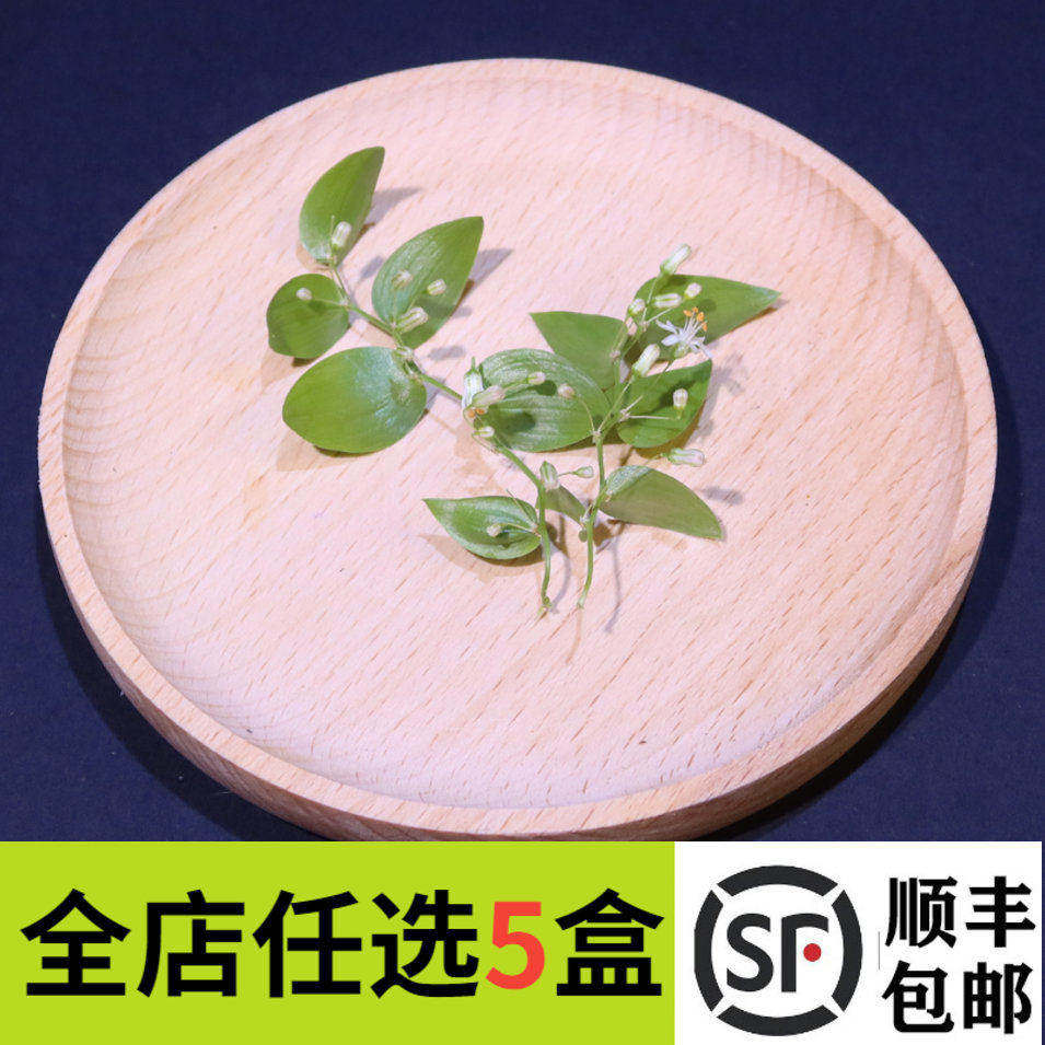 新鲜幸运星40片 阔叶舞竹 幸运草 腾树苗 酒店冷摆盘花草