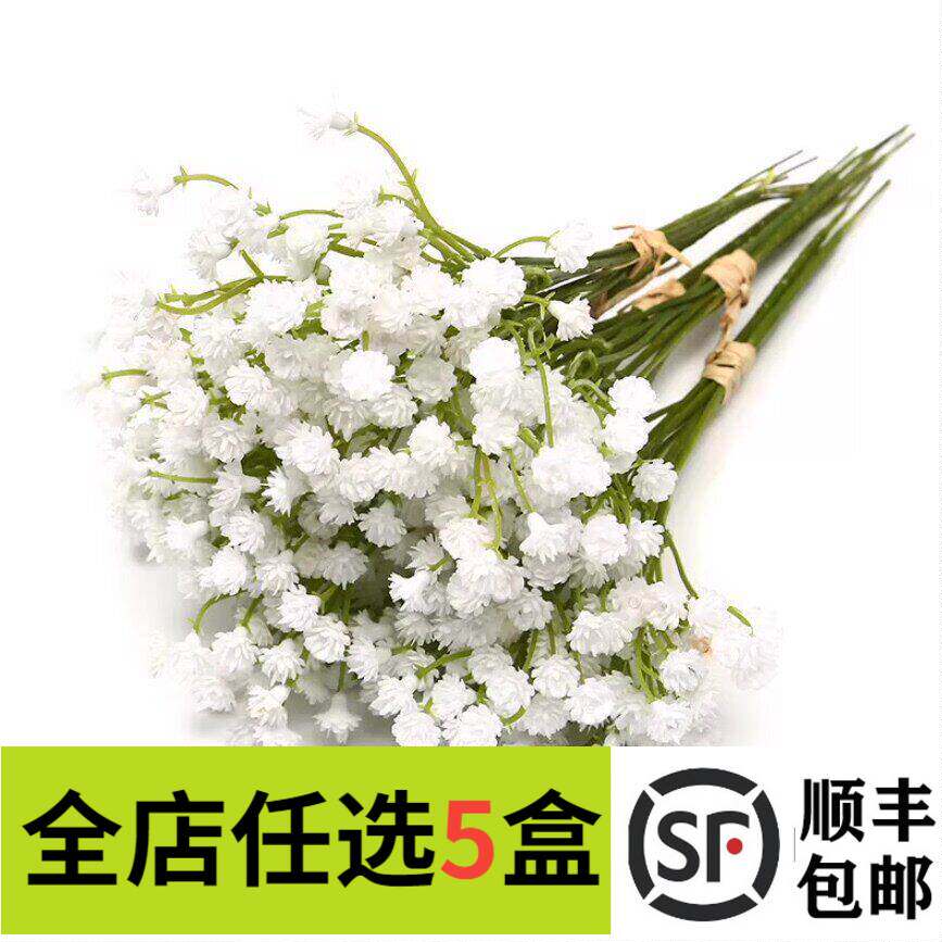 新鲜白色满天星20g小白花一扎