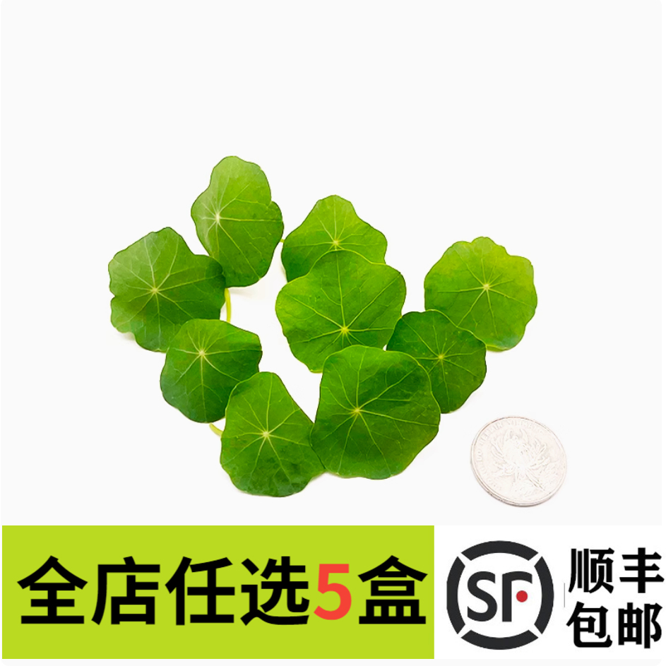 新鲜旱金莲非铜钱草40片三色堇西餐酒店花草摆盘蛋糕烘焙装饰点缀