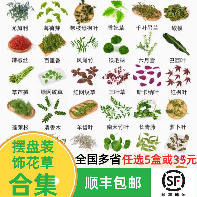 新鲜花草合集薄荷叶清香木叶子蛋糕装饰西餐厅冷菜三色堇摆盘装饰