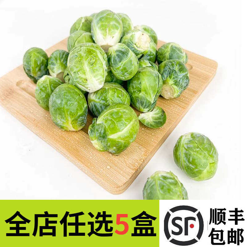 新鲜孢子甘蓝 迷你小包菜 新鲜沙拉蔬菜 500g