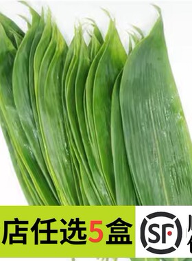 迷你小粽叶100片 新鲜真空装日本刺身寿司烤肉料理小竹叶摆盘装饰