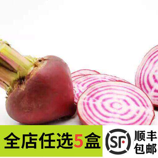 【妙而鲜优选】新鲜条纹菜头250g条纹萝卜螺旋纹菜头西餐摆盘装饰