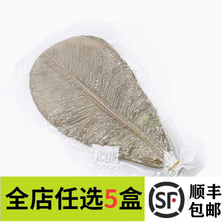新鲜真空干朴叶20片 蒲叶丹麦叶寿司料理烧烤摆盘装饰烤肉垫纸