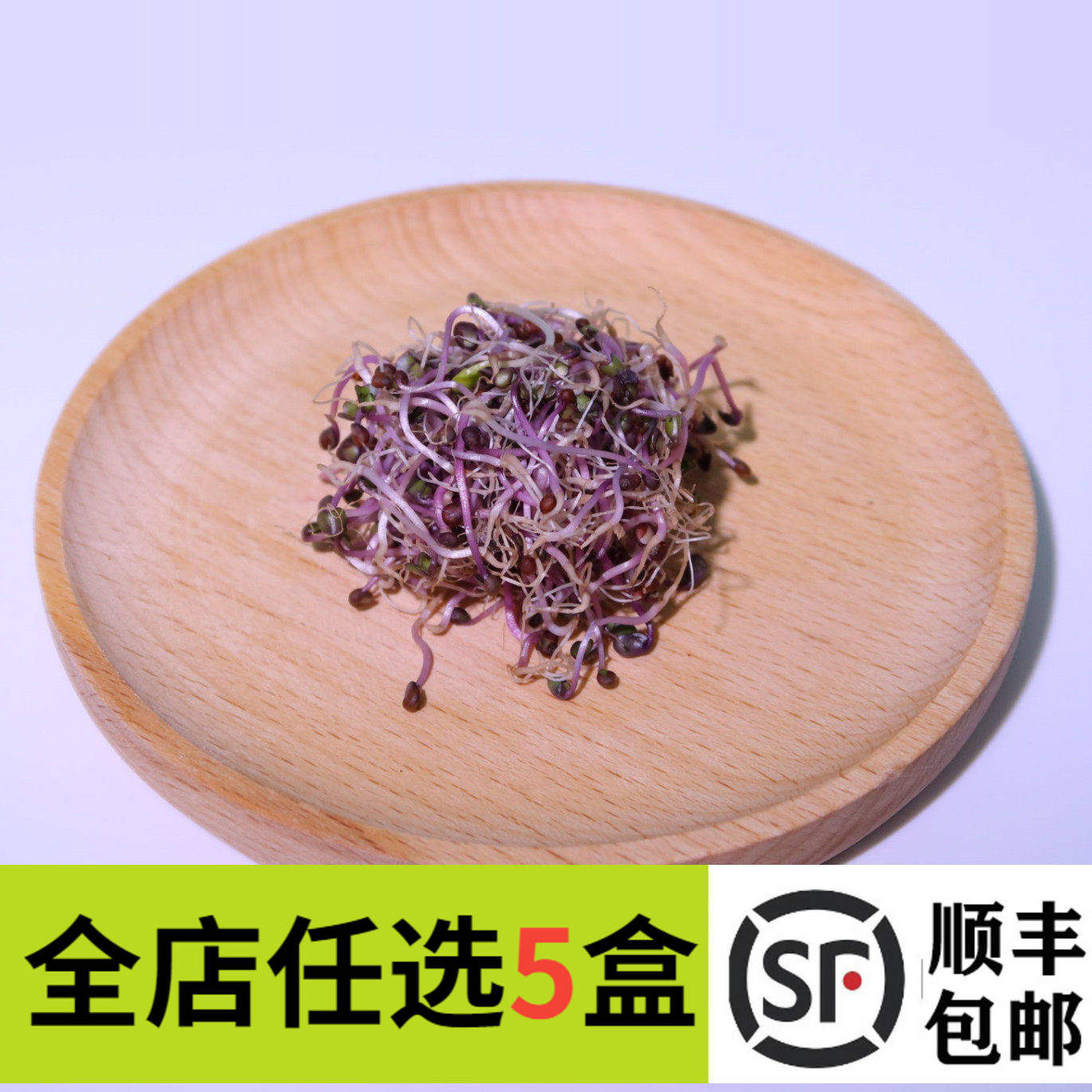 新鲜紫甘蓝芽50g/盒紫甘蓝苗轻食素食西餐摆盘装饰菜餐饮酒店