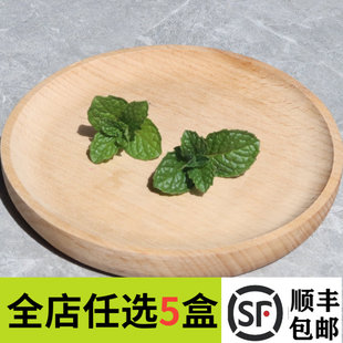 新鲜薄荷叶芽头40朵 烘焙奶茶西餐摆盘装饰草蛋糕冷菜花草点缀