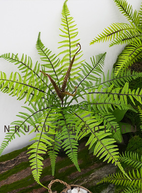 超大蕨类植物 仿真热带植物装饰绿植商场售楼处装饰塑料植物摆件