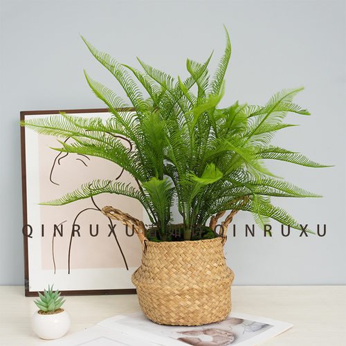 仿真叶子扇叶铁树叶绿植拍照摄影道具绿化工程仿真植物葵叶蕨叶