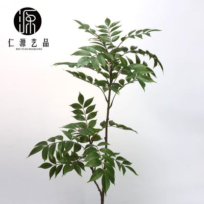 工厂直销仿真榕树叶漆木胶片绿植物黄杨叶椿树叶造景假树枝装饰