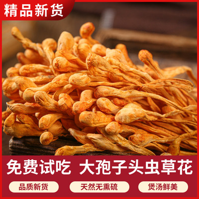 500g特级野生孢子头虫草花