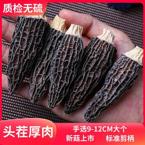 正品羊肚菌干货官方旗舰店批发价