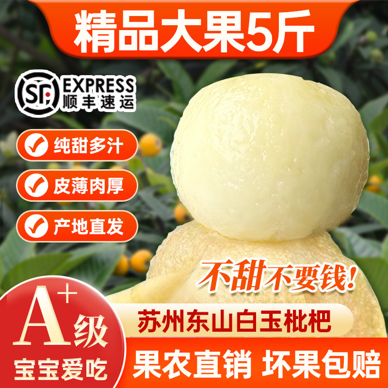 现货秒发大果苏州东山白玉枇杷5斤新鲜水果孕妇水果白枇杷果顺丰