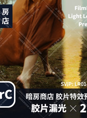 暗房商店 胶片漏光效果模拟 Light Leaks 2套滤镜 LR/ACR预设