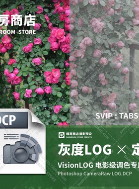 暗房商店 LOG模式相机配置文件定制 灰度色彩空间 电影级LUT调色