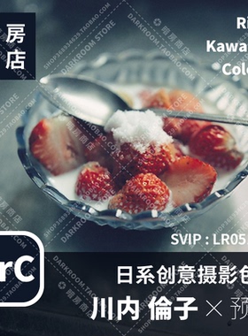 川内伦子 日系创意色调 Rinko Kawauchi 暗房商店  LR/ACR预设
