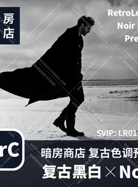 暗房商店 复古黑白色调 Noir Film 摄影预设 LR/ACR Mac/Win