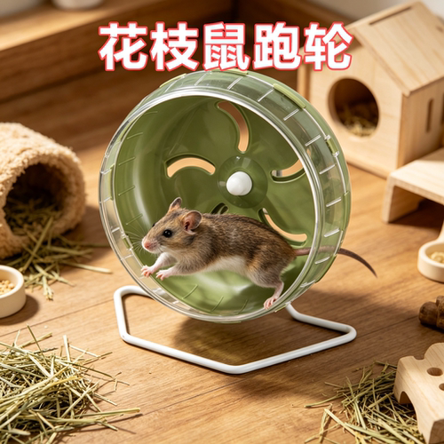 花枝鼠专用静音跑轮金丝熊跑步机解闷自嗨神器转滚轮跑球造景用品