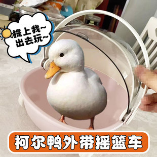 小笼子小鸡小鸭子手提塑料篮有盖摆摊家用小兔子箩筐宠物笼小鸟笼