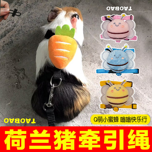 荷兰猪专用牵引绳超小型防