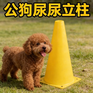 公狗尿尿立柱防乱尿小狗定点上厕所神器导尿柱子狗狗撒尿引导立柱