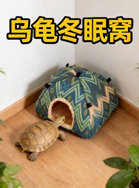 乌龟冬眠小屋躲避巴西草宠