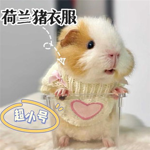 荷兰猪衣服超小特小豚鼠龙猫侏儒兔松鼠小宠物秋冬保暖过冬神器