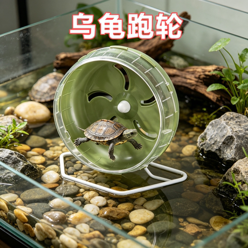 乌龟专用静音跑轮金丝熊跑步机解闷自嗨神器转滚轮跑球造景用品