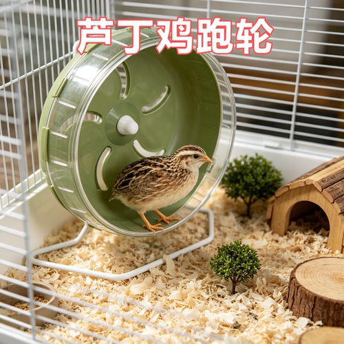 芦丁鸡专用静音跑轮金丝熊跑步机解闷自嗨神器转滚轮跑球造景用品