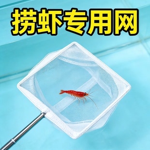 捞虾专用网小型观赏鱼孔雀鱼斗鱼缸3D不锈钢伸缩手抄鱼捞网兜渔捞