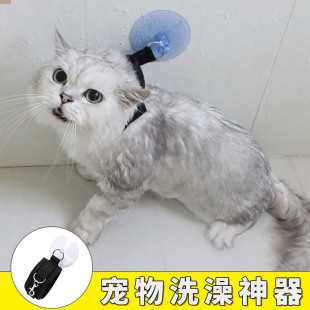 猫咪洗澡固定器猫咪洗澡固定器宠物神器给猫固定防跑防抓咬幼猫小