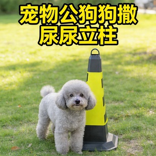 宠物公狗狗撒尿尿立柱引导柱子雪糕桶路障锥定点上厕所防乱尿神器