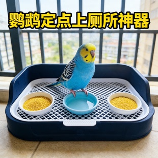 鹦鹉定点上厕所神器玄凤牡丹小太阳专用排便站架加大互动训练站台