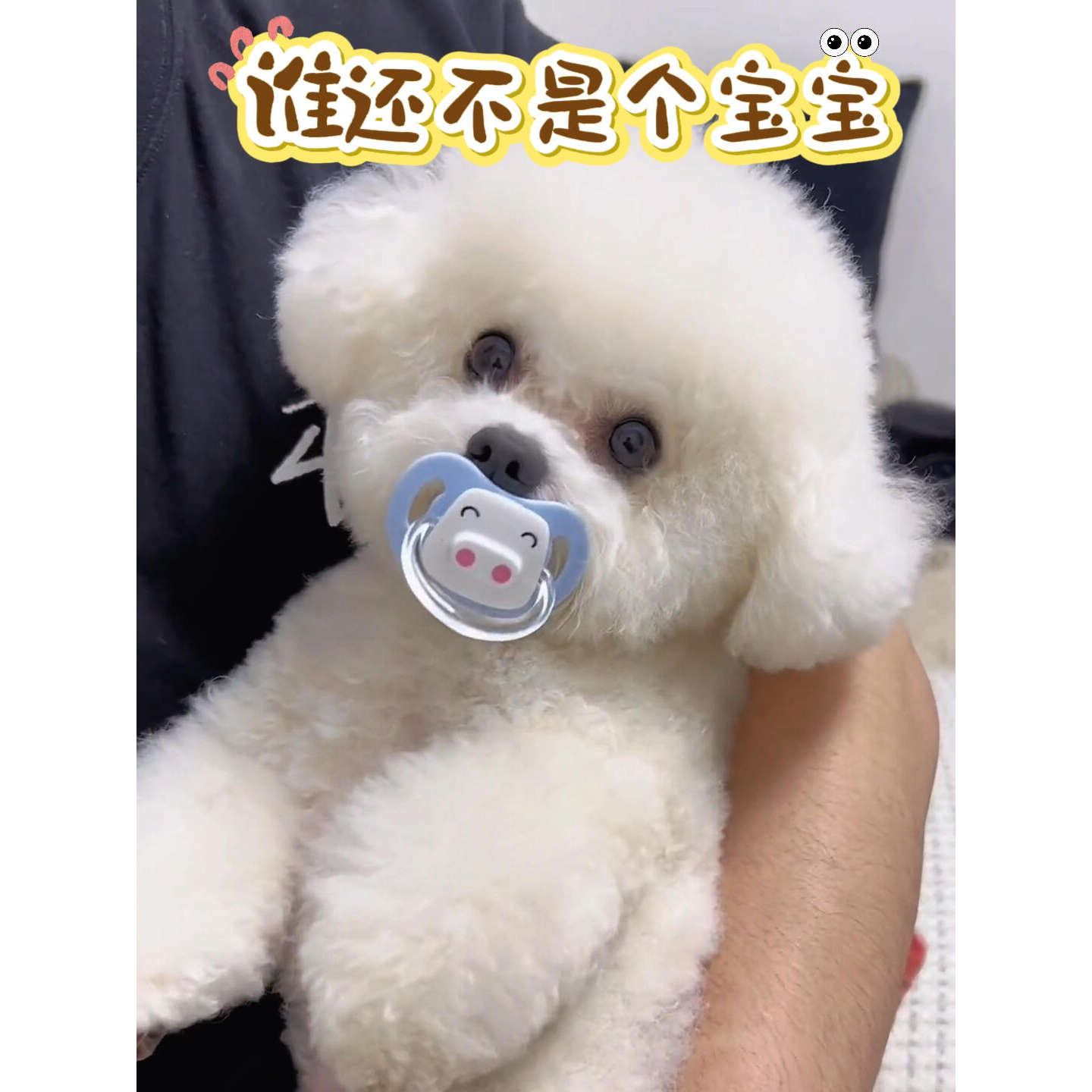 狗专用安抚奶嘴宠物玩具小