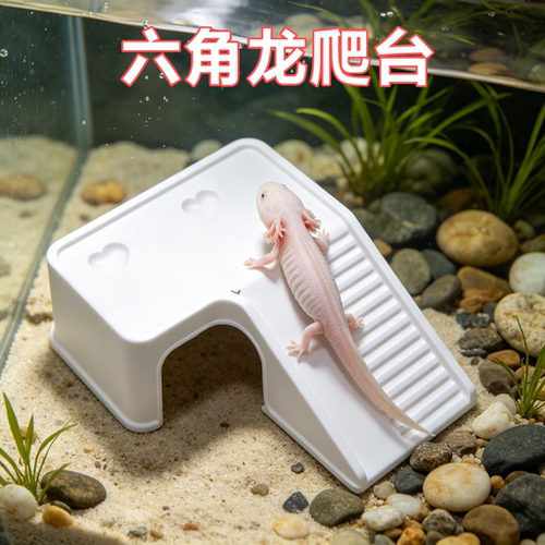 六角龙专用晒台爬台饲养缸装饰造景爬宠晒背喂食浮台躲避休息屋