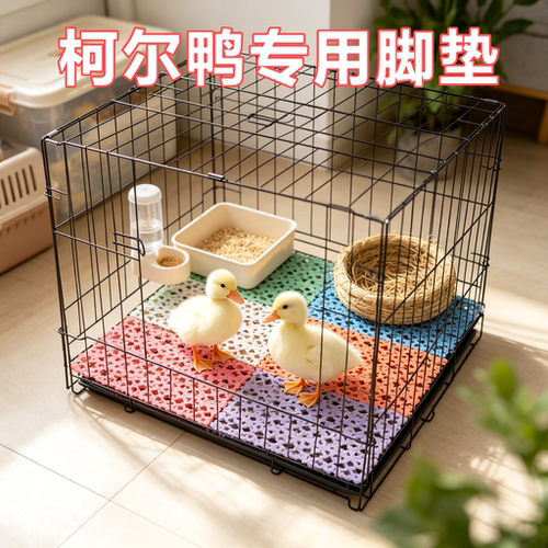 柯尔鸭专用宠物脚垫板防啃咬笼子踏板拼接脚垫预防脚皮炎防卡脚垫