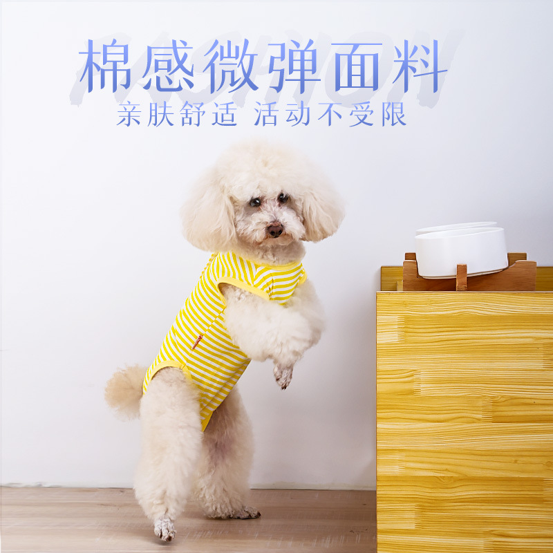 狗狗衣服条纹绝育断奶服柯基泰迪小型犬猫咪护肚子衣服宠物服装