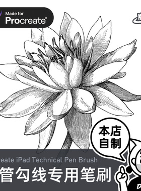Procreate笔刷 针管笔勾线漫画描边线动漫勾边笔iPad绘画 丁一喵