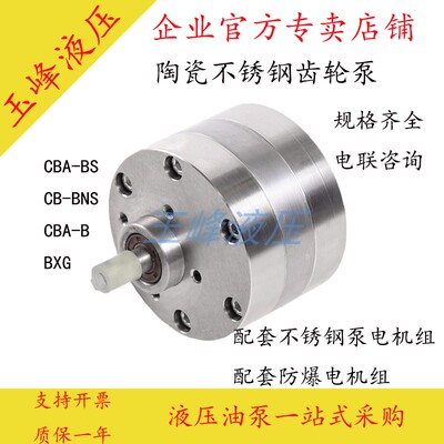 CB-BNS10CBA-B6不锈钢齿轮油泵