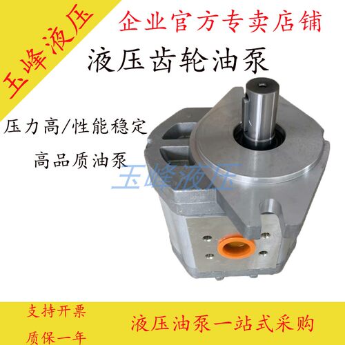 CBF-F425/E425/F432/F440/F450/E440/E450-ALP/ALPL/ALHL齿轮泵 R